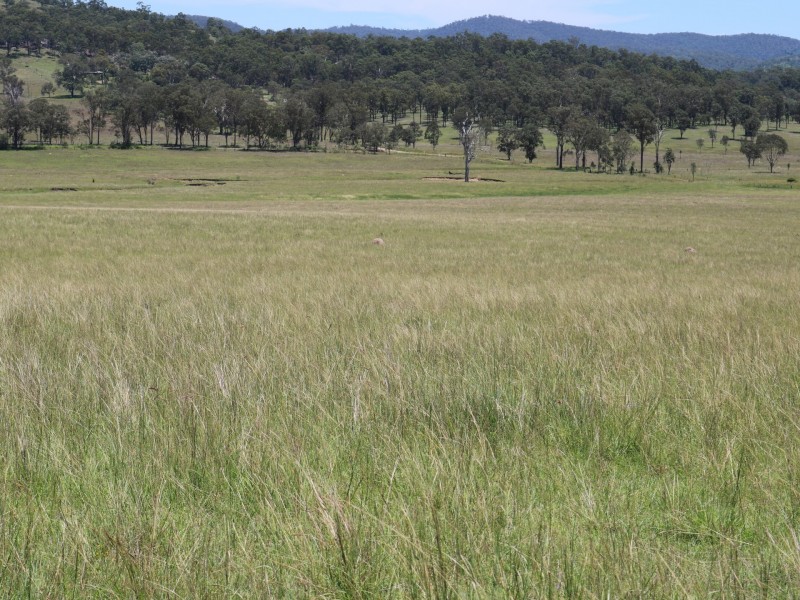 0 Morden Road, Biarra QLD 4313