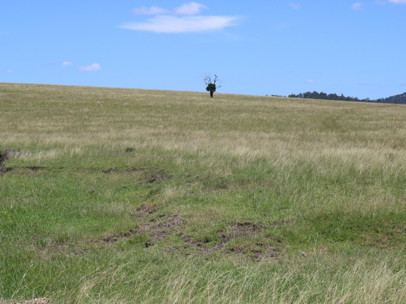 0 Morden Road, Biarra QLD 4313