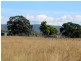 Lot 2 Morden Road, Biarra QLD 4313