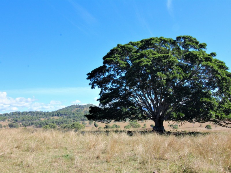 Lot 2 Morden Road, Biarra QLD 4313