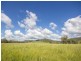 Lot 127 Littles Road, Biarra QLD 4313
