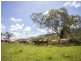 Lot 98 Littles Road, Biarra QLD 4313