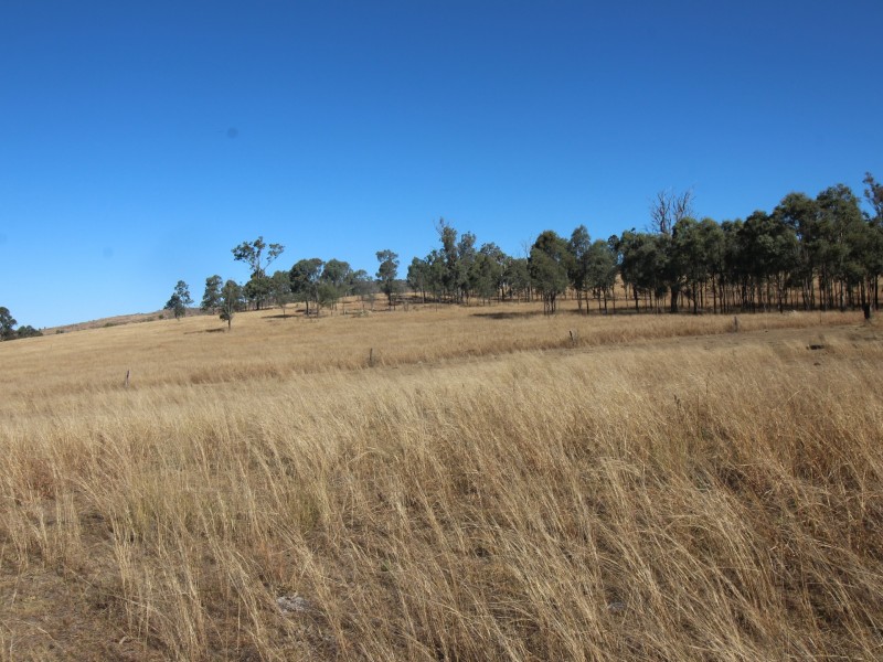 343 Linkes Lane, Mount Beppo QLD 4313