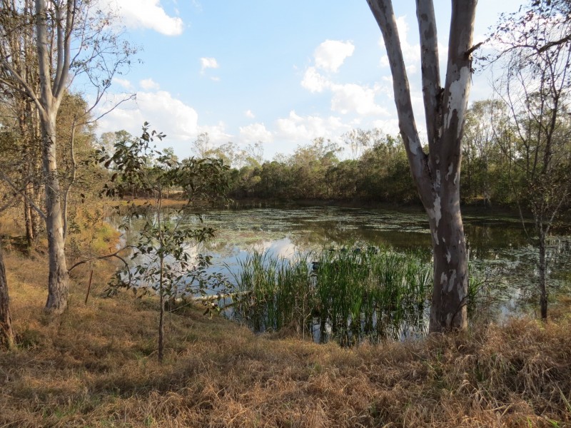 64 Selwyn Road, Esk QLD 4312