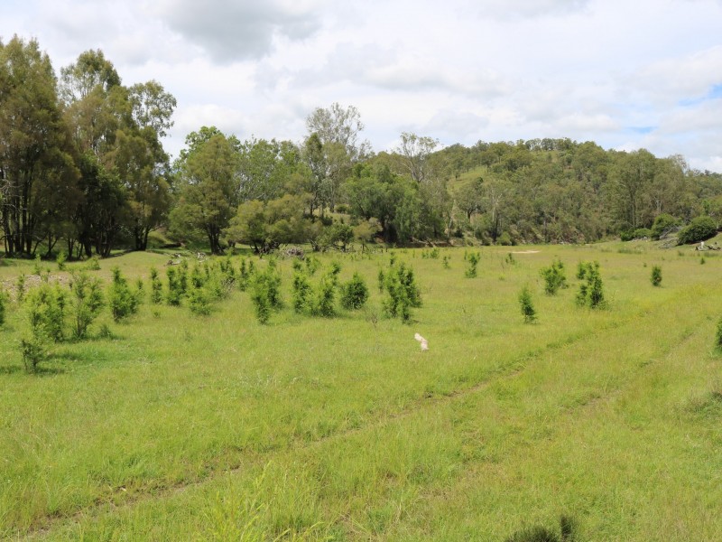 Lot 61 Cherry Lane, Ivory Creek QLD 4313