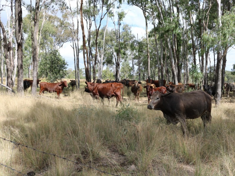 278 Seiler Road, Kingaroy QLD 4610