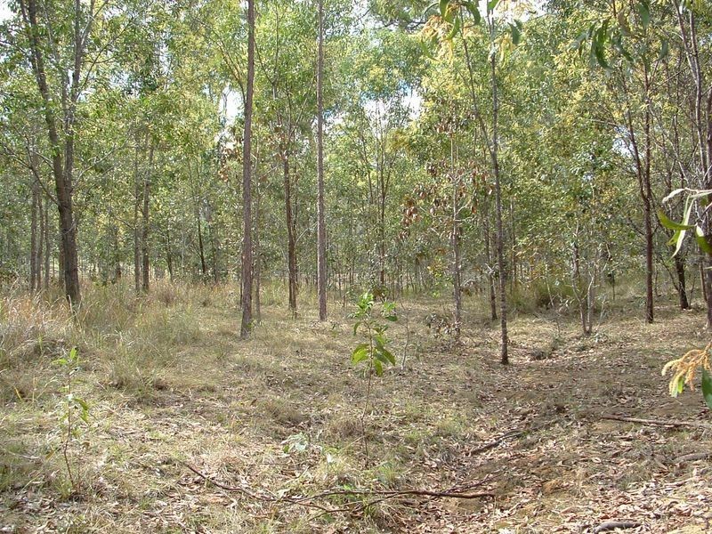 51 Royal Drive, Mount Hallen QLD 4312