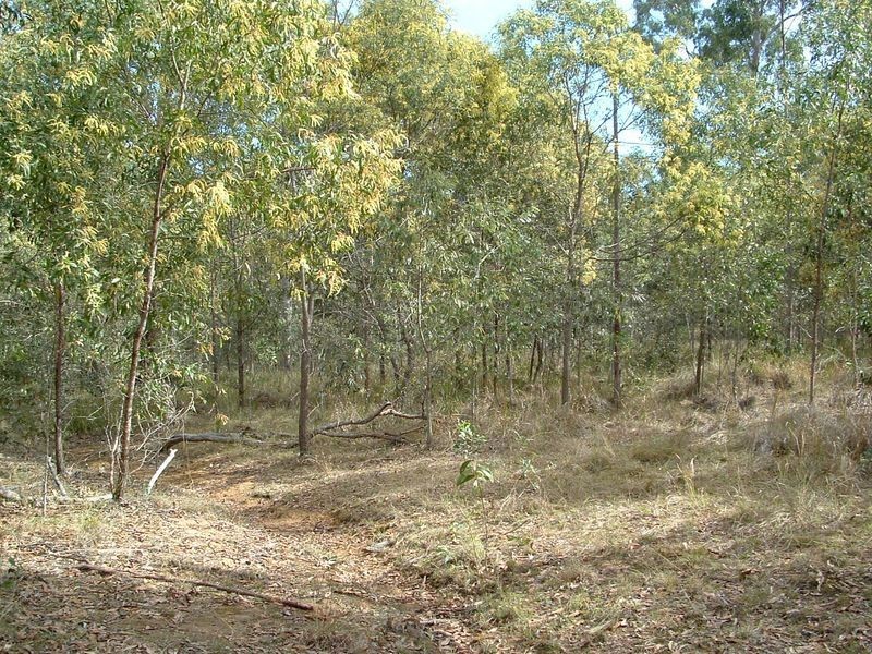 51 Royal Drive, Mount Hallen QLD 4312