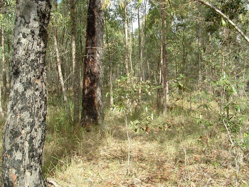 51 Royal Drive, Mount Hallen QLD 4312