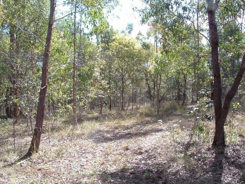 51 Royal Drive, Mount Hallen QLD 4312