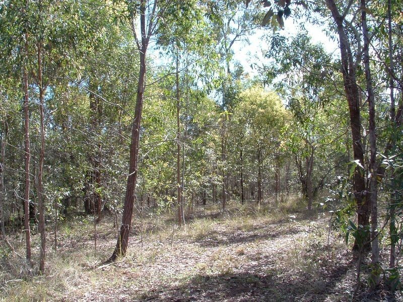 51 Royal Drive, Mount Hallen QLD 4312