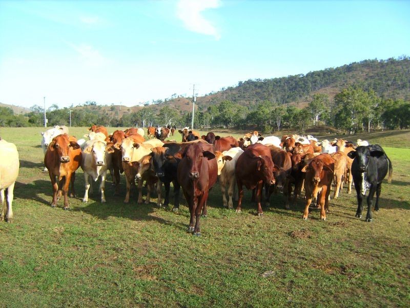 862 Mount Stanley Road, Linville QLD 4306