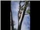 Esk QLD 4312