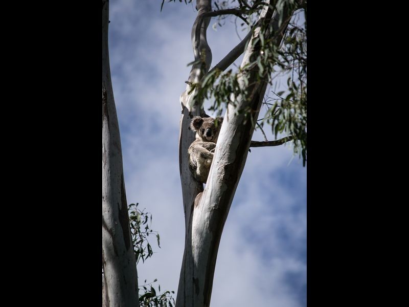 Esk QLD 4312