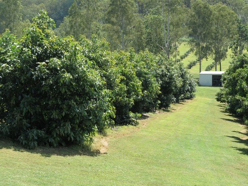 1000 ESK HAMPTON ROAD, Esk QLD 4312