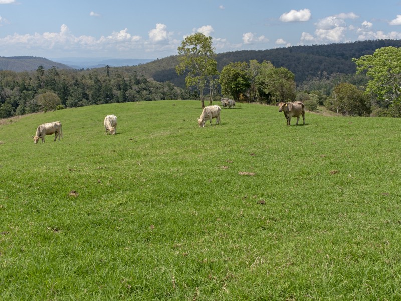 380 & 410 Brennan Road, Redbank Creek QLD 4312