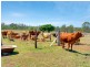34 Drapers Road West, Wanora QLD 4306