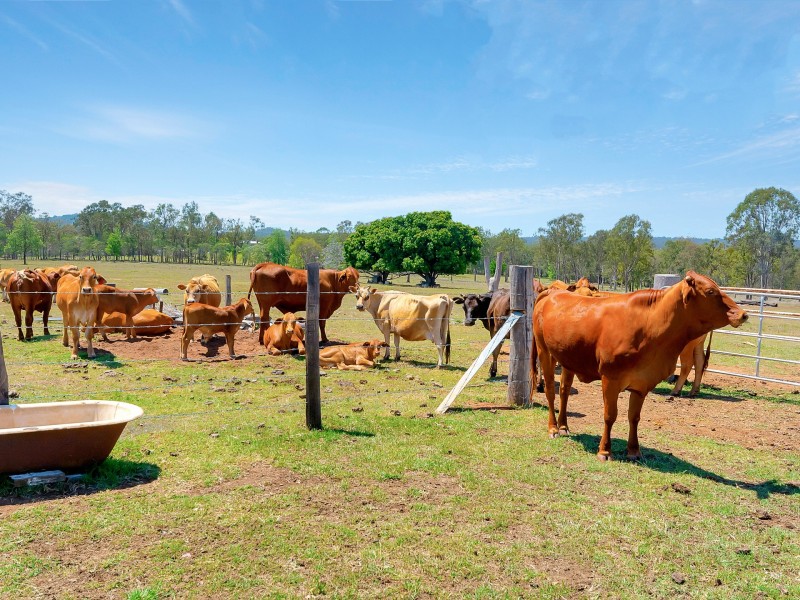 34 Drapers Road West, Wanora QLD 4306