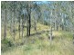 Harlin QLD 4306