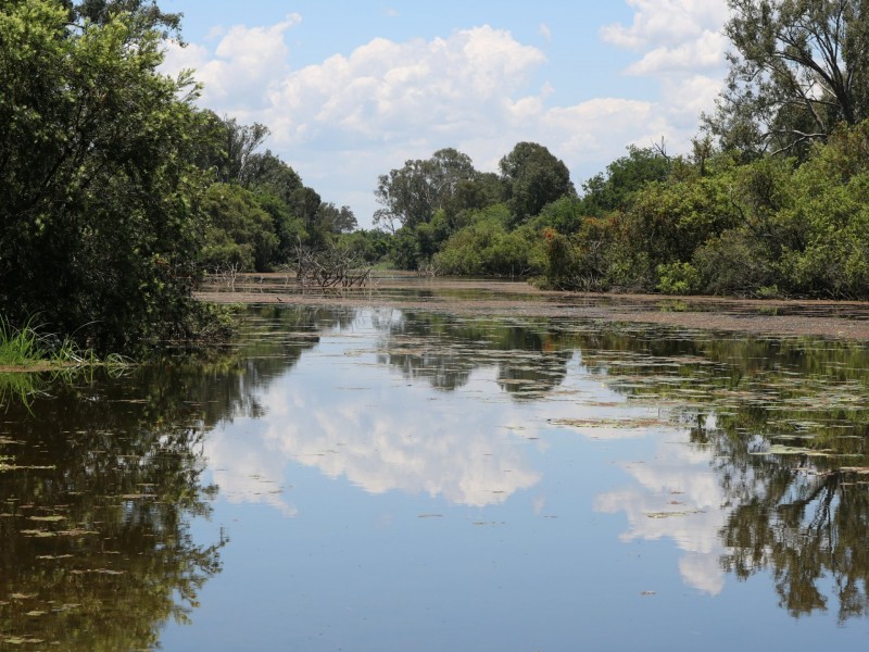 37 Golinskis Lane, Biarra QLD 4313