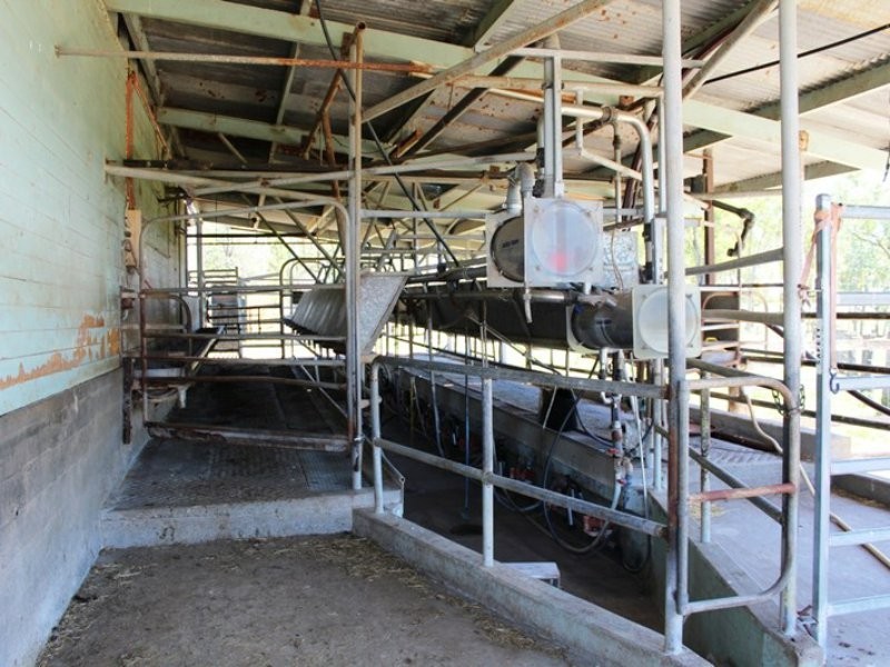 37 Golinskis Lane, Biarra QLD 4313