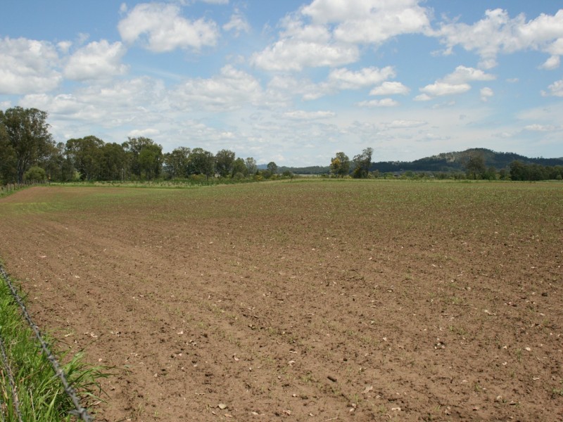 37 Golinskis Lane, Biarra QLD 4313