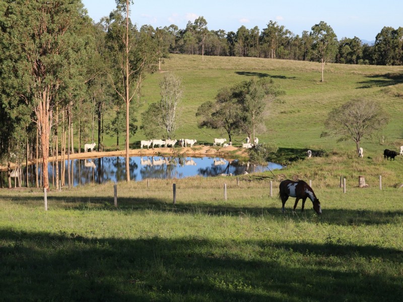 37 Golinskis Lane, Biarra QLD 4313