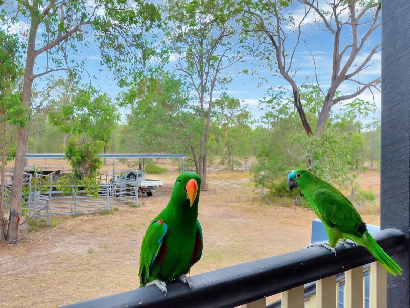 6 Cameron Road, Coominya QLD 4311