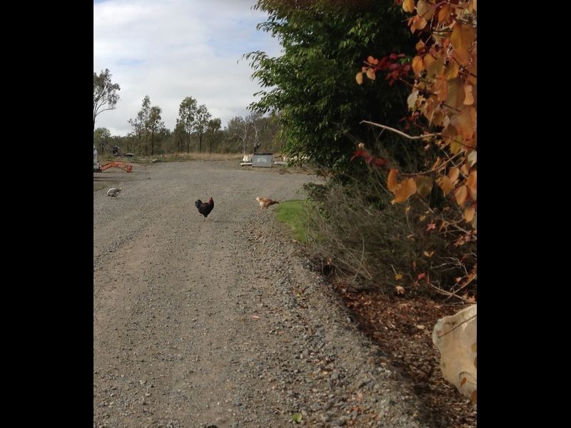 Gregors Creek QLD 4313