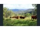 Lot 1 Wells Station Road, Biarra QLD 4313