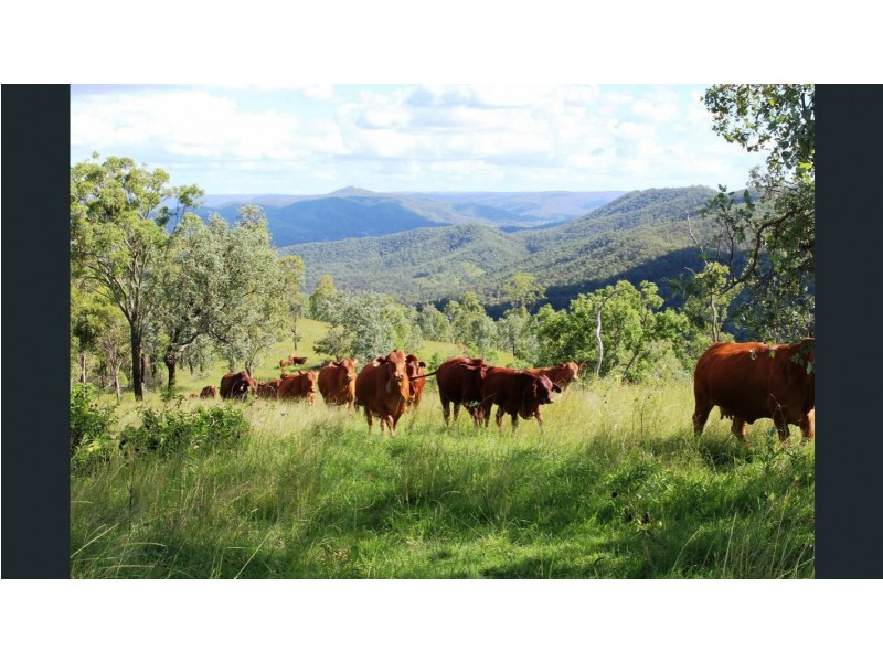 Lot 1 Wells Station Road, Biarra QLD 4313