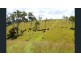 Lot 1 Wells Station Road, Biarra QLD 4313
