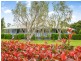 41 – 43 Main Green Swamp Road, Spring Creek QLD 4343