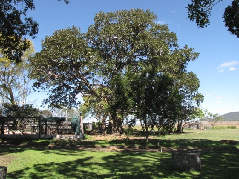 Coal Creek QLD 4312