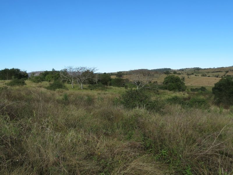 Mount Beppo QLD 4313
