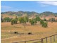 573 Spring Creek Road, Harlin QLD 4306