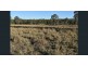 51 Emcee Lane, Coominya QLD 4311