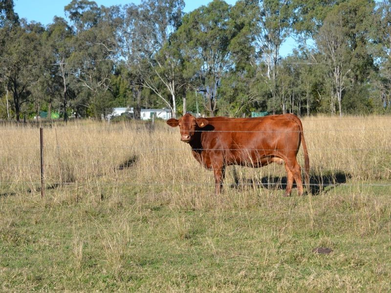 Toogoolawah QLD 4313