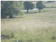 LOT 1 COOEEIMBARDI ROAD, Esk QLD 4312