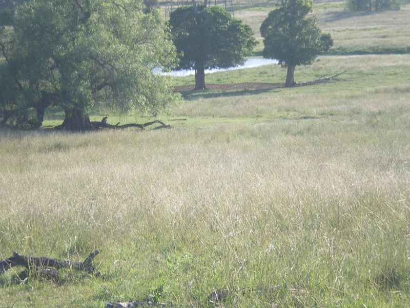 LOT 1 COOEEIMBARDI ROAD, Esk QLD 4312