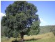LOT 1 COOEEIMBARDI ROAD, Esk QLD 4312