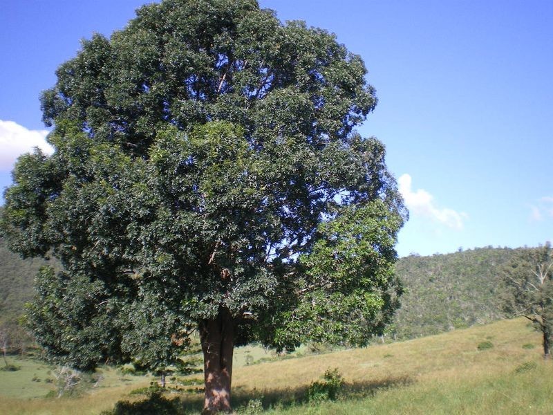 LOT 1 COOEEIMBARDI ROAD, Esk QLD 4312