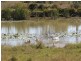Harlin QLD 4306