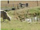 Harlin QLD 4306