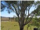 Harlin QLD 4306