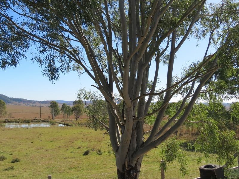 Harlin QLD 4306