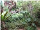 Biarra QLD 4313