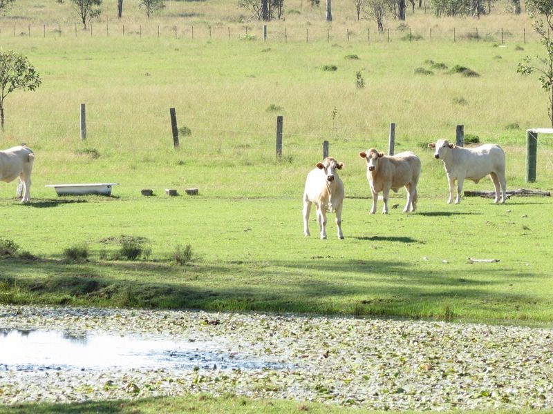 Toogoolawah QLD 4313