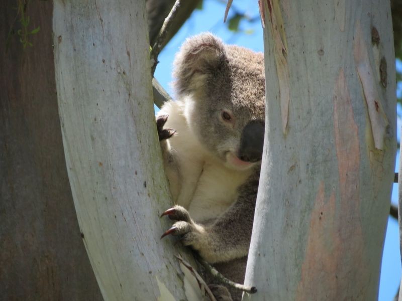 20 Langtons Lane, Esk QLD 4312