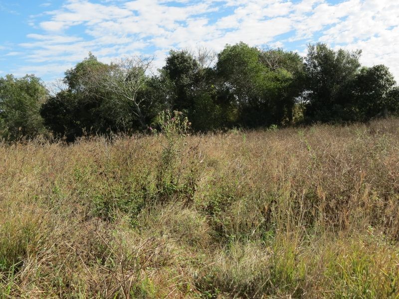 Mount Beppo QLD 4313